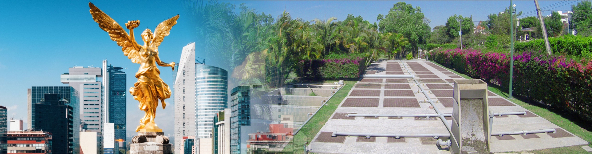 home-slider-asajet-cdmx-01